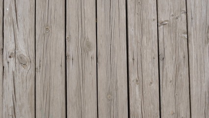 Obraz premium Wood texture for your design