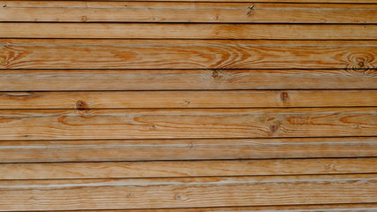 Fototapeta premium Wood texture for your design