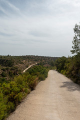 Fototapeta na wymiar Road through the mountains of the Senia