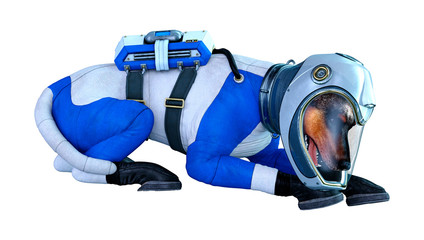 3D Rendering Astronaut Dog on White © photosvac