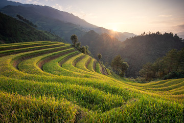 Fototapeta premium Beautiful landscape rice fields on terraced of Mu Cang Chai