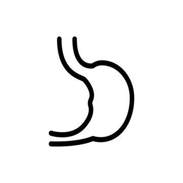 stomach line vector icon