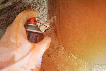 Spray insecticide into the hole