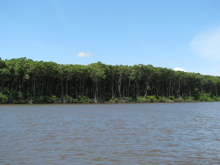 A desert in the middle of the forest - Boat ride at Preguiças river - Maranhão  - Brazil