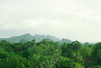 Fototapeta na wymiar Mountain range in Krabi, Thailand. 