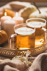 autumn cosy pumpkin, candles and autumn plants on window with led lights bokeh