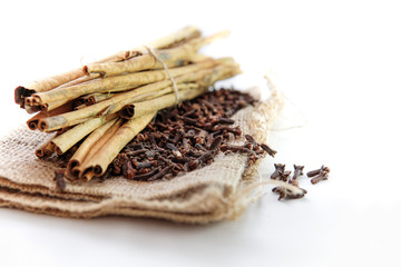 cloves and cinnamon on burlap sacks isolated white