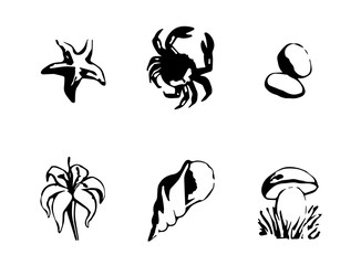 Set of 6 black and white vector icons depicting summer vacation. Crab, shell, pebble, starfish, lily flower and mushroom