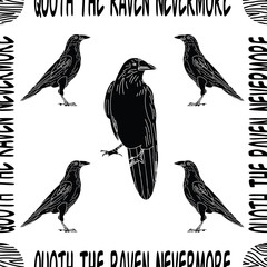 Vector Black Crows Ravens Birds on White with Poe Quote Seamless Repeat Pattern