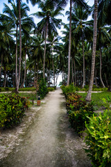 path in beach village