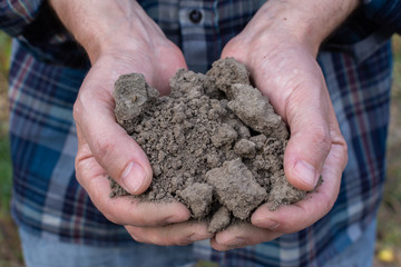 Farmer hands with soil in the palms close-up , man hands with fertile soil