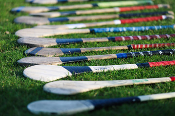 Fototapeta A bunch of camogie hurleys lined up on the grass obraz