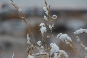 First snow at the fields of Nizhniy Novgorod region of Russia