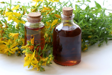 St. John's Wort oil ; Hypericum perforatum