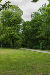Walk on a warm sunny day in the park Volkspark Friedrichshain in Berlin, cozy paths and green lawns