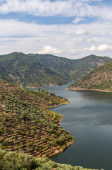 Scenic view of Alto Douro Vinhateiro with terraces and vineyards