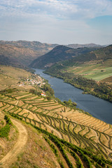 Scenic view of Alto Douro Vinhateiro with terraces and vineyards