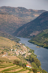 Scenic view of Alto Douro Vinhateiro with terraces and vineyards