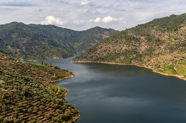Scenic view of Alto Douro Vinhateiro with terraces and vineyards