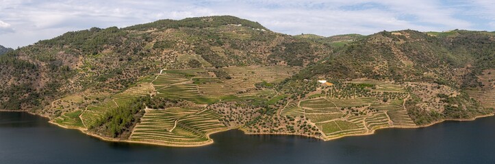 Scenic view of Alto Douro Vinhateiro with terraces and vineyards