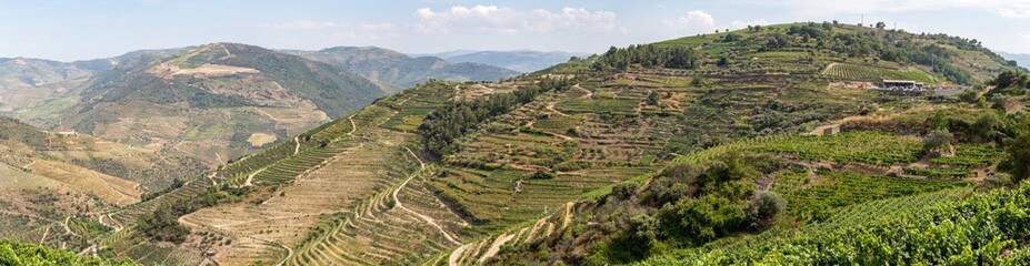 Fototapeta na wymiar Scenic view of Alto Douro Vinhateiro with terraces and vineyards