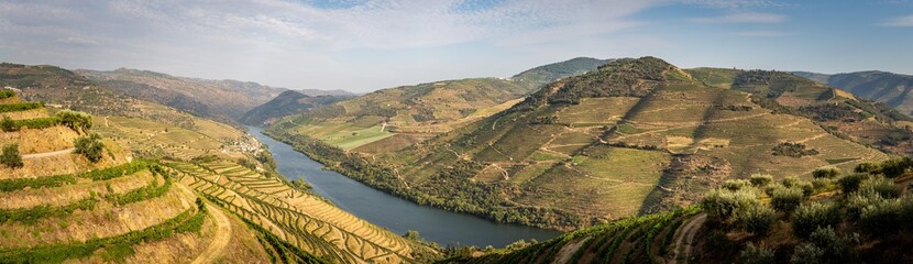 Scenic view of Alto Douro Vinhateiro with terraces and vineyards
