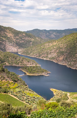 Scenic view of Alto Douro Vinhateiro with terraces and vineyards