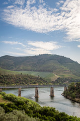Obraz na płótnie Canvas Scenic view of Alto Douro Vinhateiro with terraces, vineyards and the Tua Bridge over Douro River