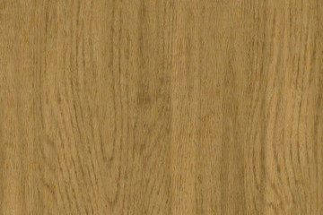 Wood oak tree close up texture background. Wooden floor or table with natural pattern	