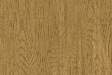 Wood oak tree close up texture background. Wooden floor or table with natural pattern	