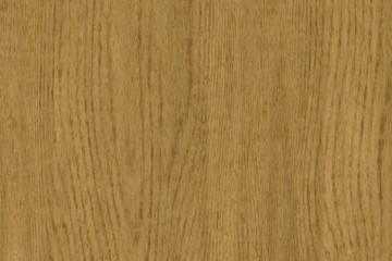 Wood oak tree close up texture background. Wooden floor or table with natural pattern	