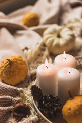 autumn cosy pumpkin, candles and autumn plants on window with led lights bokeh