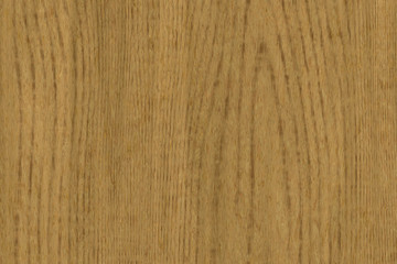 Wood oak tree close up texture background. Wooden floor or table with natural pattern	