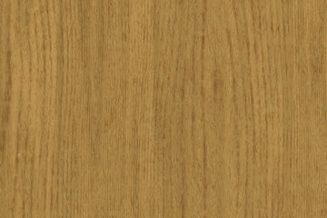 Wood oak tree close up texture background. Wooden floor or table with natural pattern	