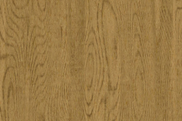 Wood oak tree close up texture background. Wooden floor or table with natural pattern	