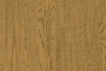 Wood oak tree close up texture background. Wooden floor or table with natural pattern	