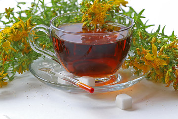 St. John's Wort tea ; Hypericum perforatum