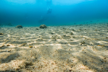 Fototapeta na wymiar Underwater shot of the vivid coral reef in tropical sea. Fish swimming over the reef