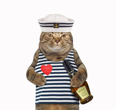 The cat mariner in a sailor's shirt and a hat holds a bottle of rum. White background. Isolated.