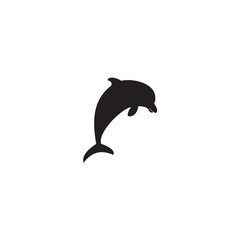 Dolphin logo design vector template