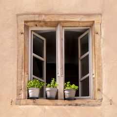 Fototapeta na wymiar open window with three green flower pots