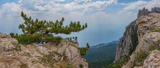 panoramic view of the Caucasus Mountains in summer day