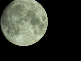 in the night sky there is a full moon on which you can see the craters well