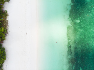 Fototapeta na wymiar Woman swimming in caribbean sea turquoise transparent water. Aerial top down view, minimal composition. Exotic vacation wellbeing fitness.