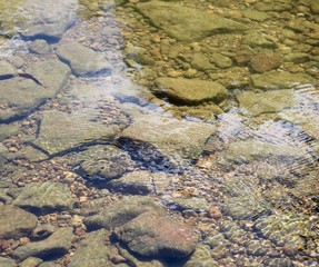 The rocks and stones underwater in the clear water.
