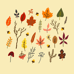 Obraz premium Vector flat illustration with set of autumn leaves and tree branches. Collection of autumn leaves, berries and branches for fall design