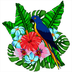 Floral graphic design, tropical flowers and parrot in the vector, tropical composition