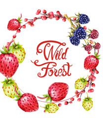 Wild forest fruits on wreath vector. Strawberries and berries