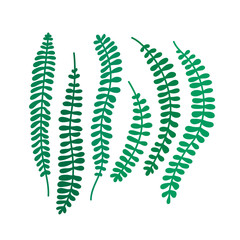 Flat vector illustration with green leaves. Jungle leaves. Tropic leaves. Flat illustration with jungle leaves