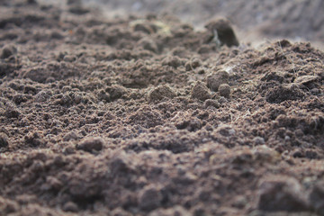 Black soil. Close-up. Background. Texture.